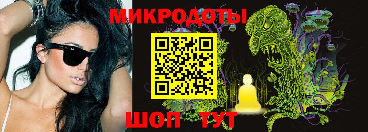 Галлюциногенные грибы прущие грибы Бор