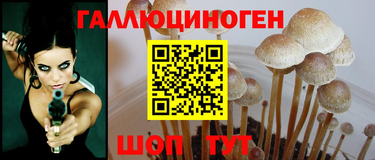 Галлюциногенные грибы прущие грибы  Вход с VPN  Псилоцибиновые грибы GOLDEN TEACHER  Бор 